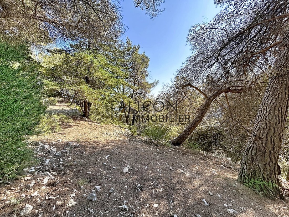 Land in Falicon, Provence-Alpes-Côte d'Azur, France 2 - 17797422