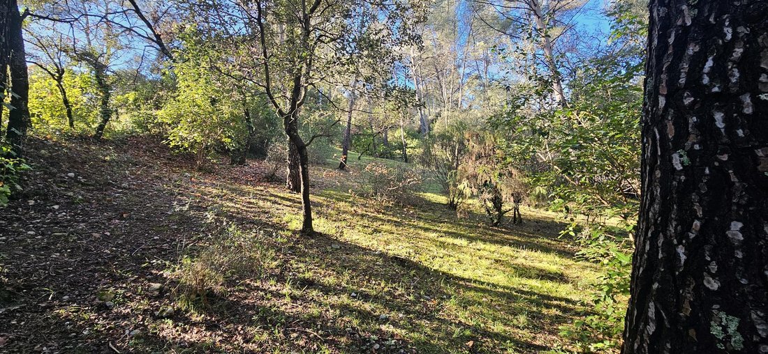 Land in Montferrier-sur-Lez, Occitania, France 1 - 17093999