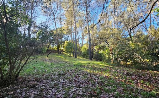 Land in Montferrier-sur-Lez, Occitania, France 1