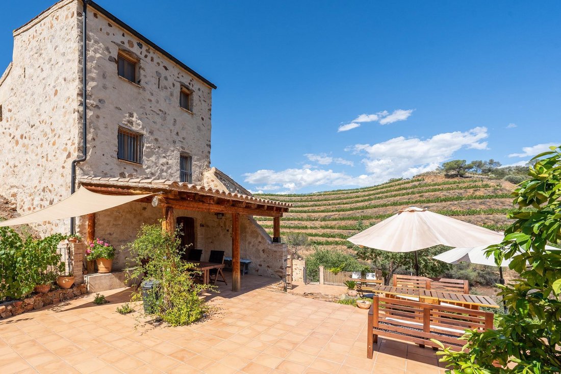 Villa in el Molar, Catalonia, Spain 4 - 16988533