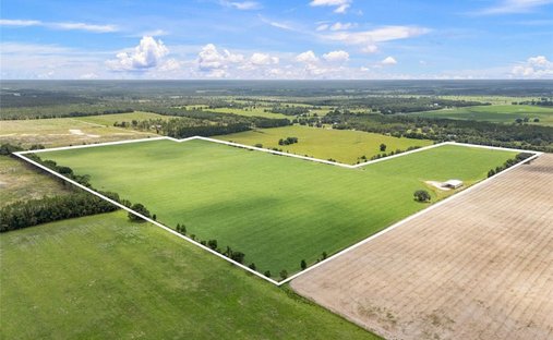Land in Newberry, Florida, United States 1