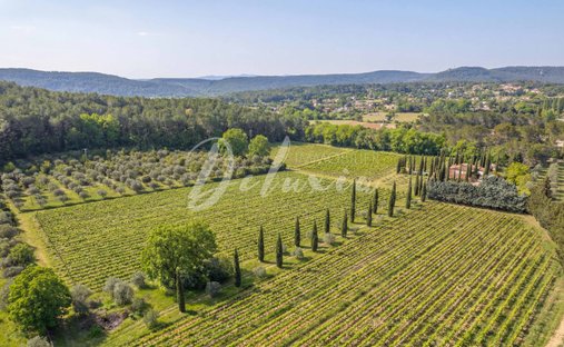 Estate in Villecroze, Provence-Alpes-Côte d'Azur, France 1