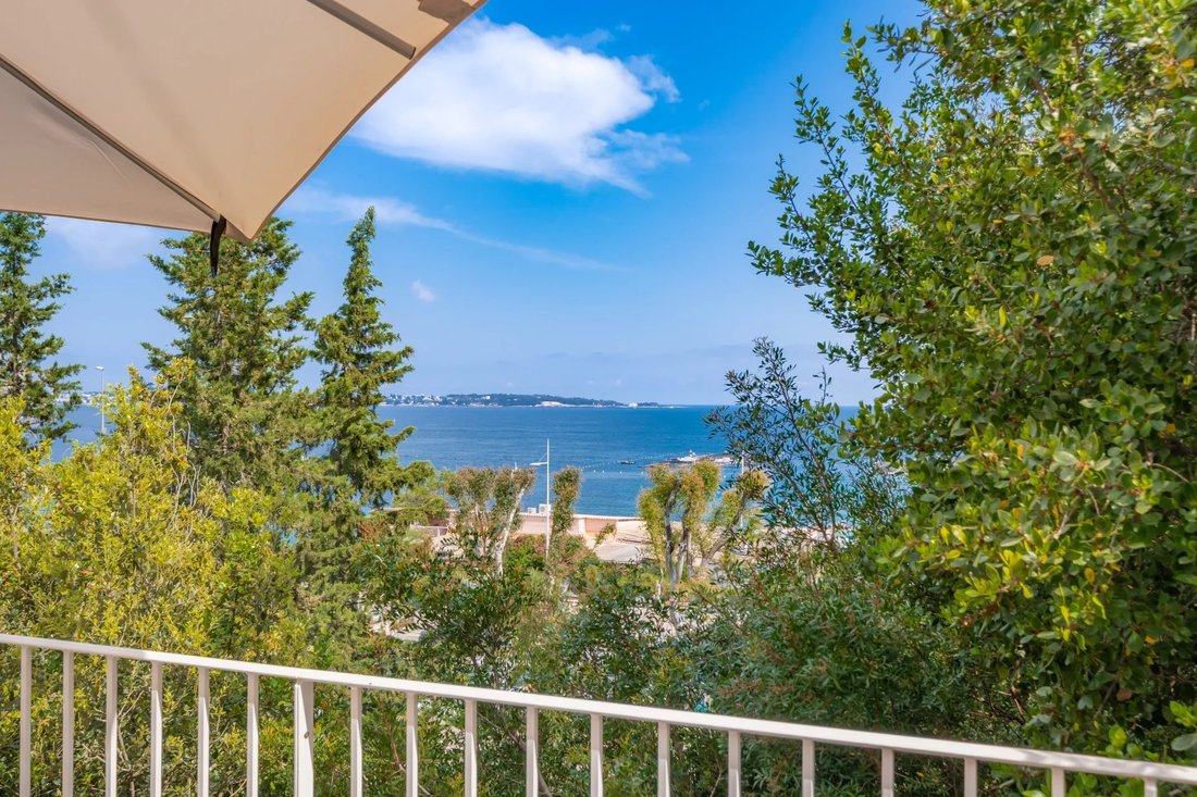 Villa in Cannes, Provence-Alpes-Côte d'Azur, France 5 - 17797378