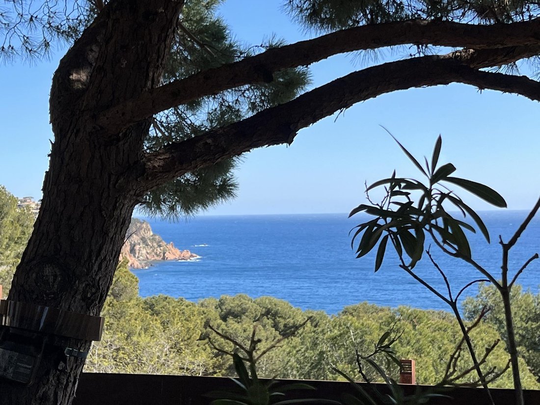 Villa in Sant Feliu de Guixols, Catalonia, Spain 5 - 16989677