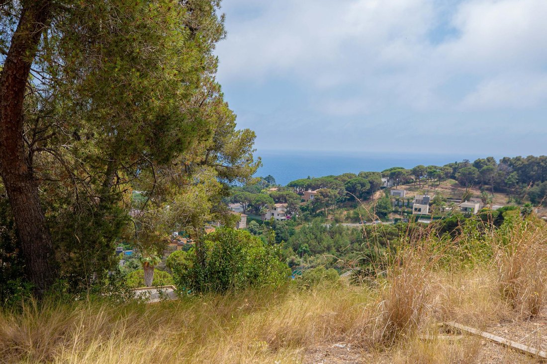 Land in Blanes, Catalonia, Spain 3 - 17094114