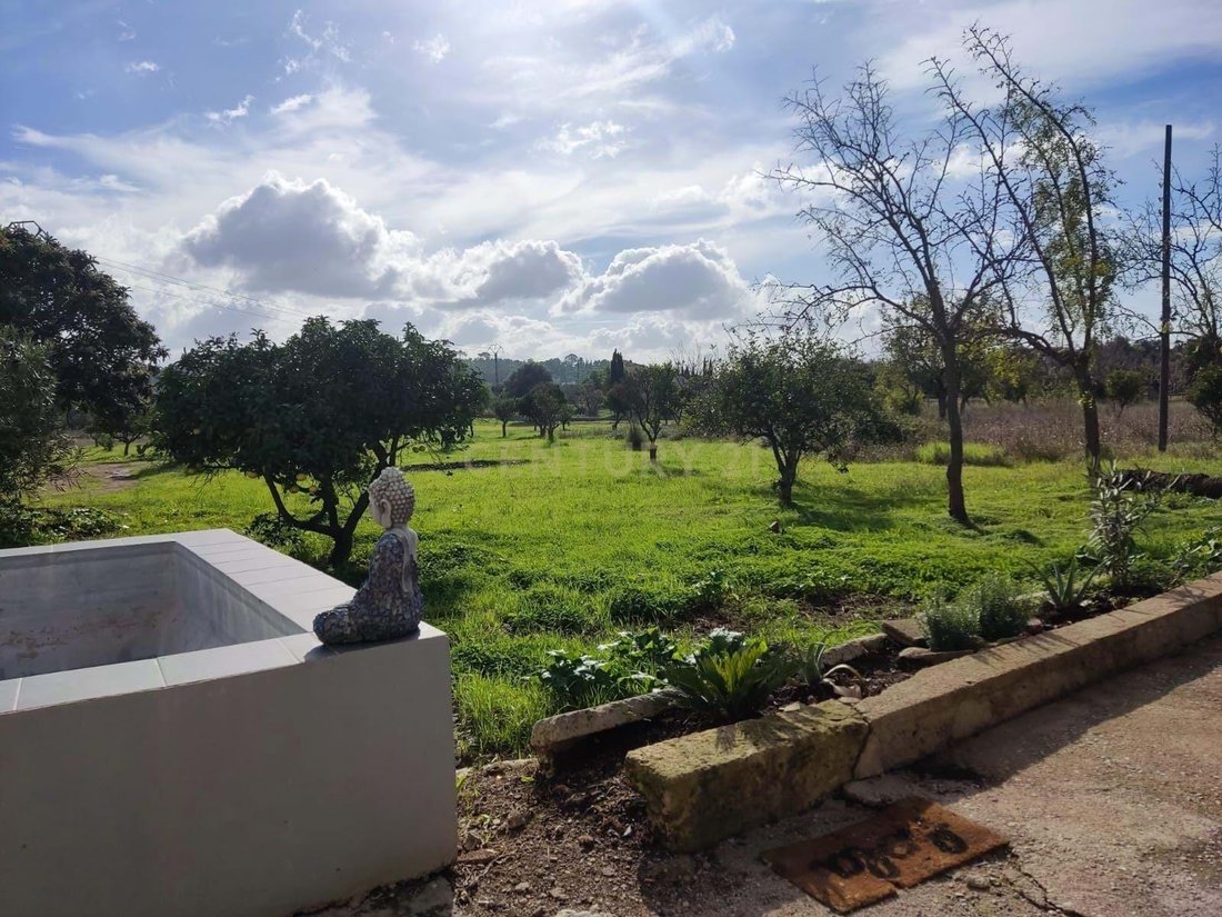Villa in Selva, Balearic Islands, Spain 4 - 17411650