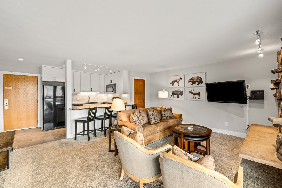 Condo in Steamboat Springs, Colorado, United States 5 - 17796391