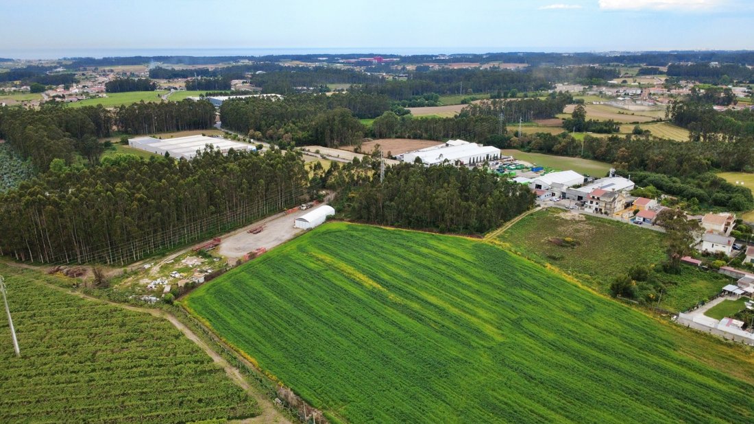 Land in Guilhabreu, Porto District, Portugal 1 - 17797759