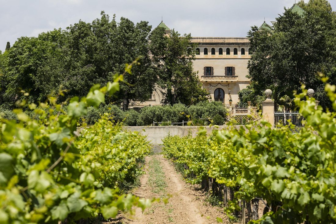 Castle in Banyeres del Penedes, Catalonia, Spain 5 - 16987714