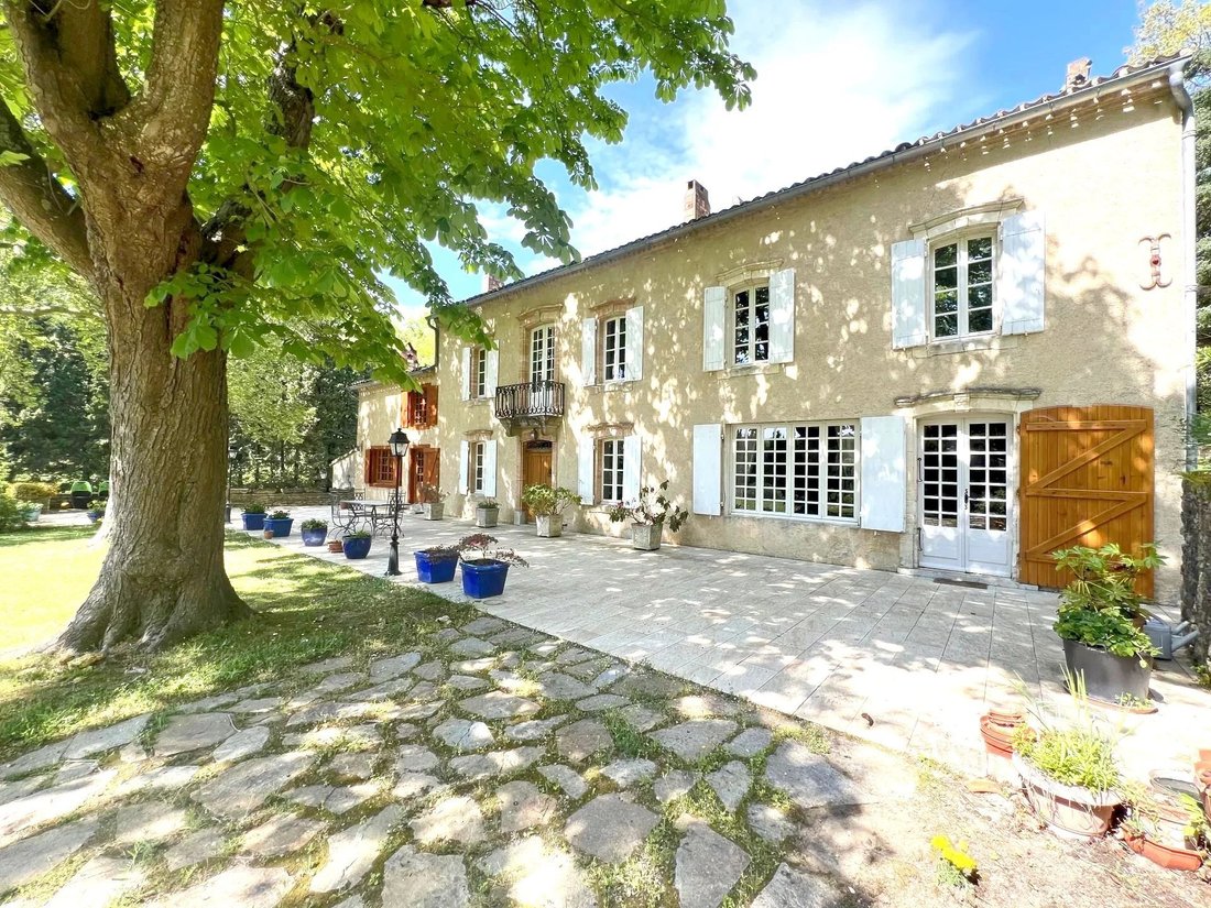Estate in Saint-Martin-le-Vieil, Occitania, France 2 - 17797062