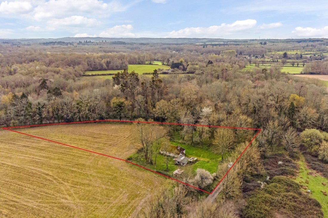 Farm Ranch in Redlynch, England 5 - 17798605