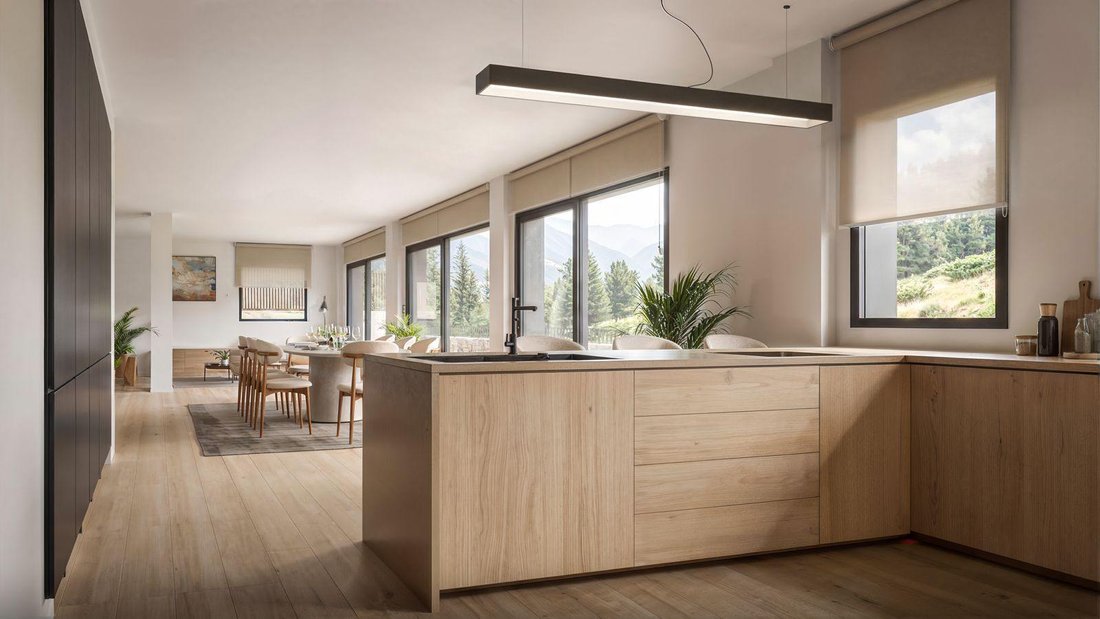 Villa in Pal, La Massana, Andorra 3 - 16988487