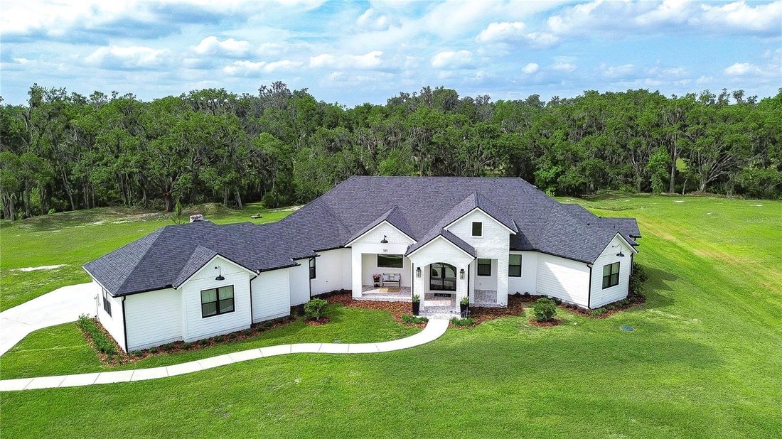 House in Plant City, Florida, United States 1 - 17800561