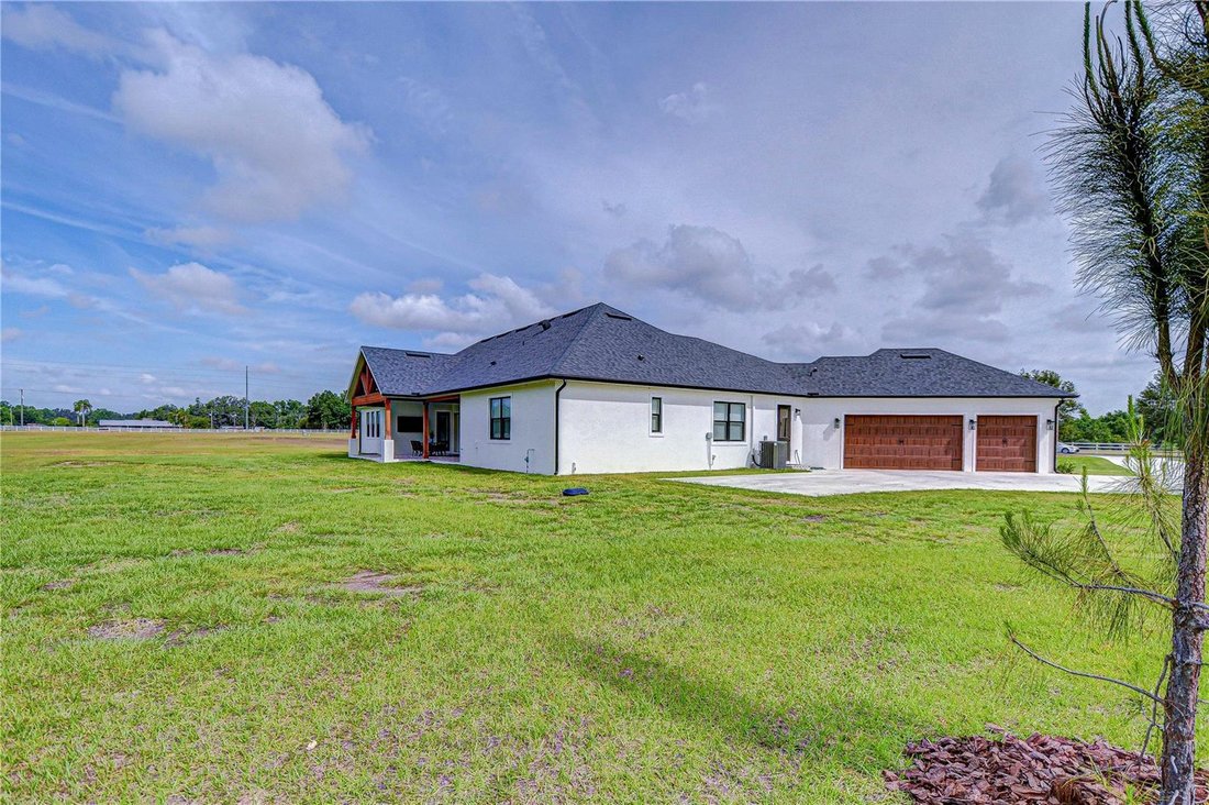 House in Plant City, Florida, United States 5 - 17800561