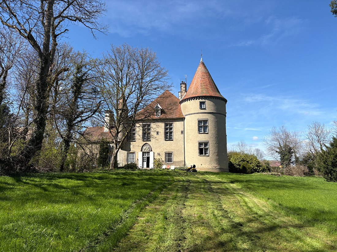 Chateau in Blot-l'Eglise, Auvergne-Rhône-Alpes, France 1 - 17796582