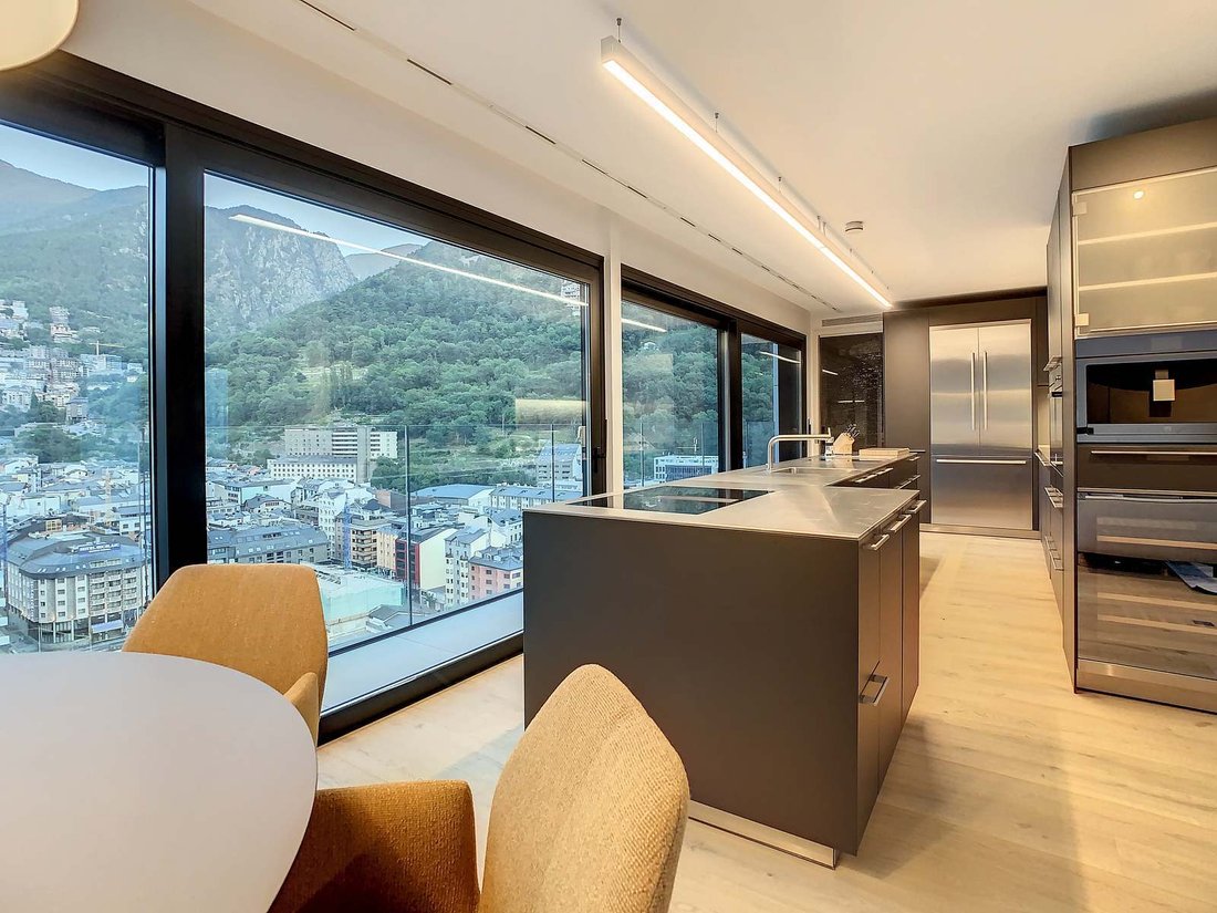 Apartment in Escaldes-Engordany, Escaldes-Engordany, Andorra 3 - 16989108