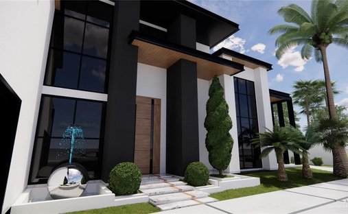 House in Edinburg, Texas, United States 1
