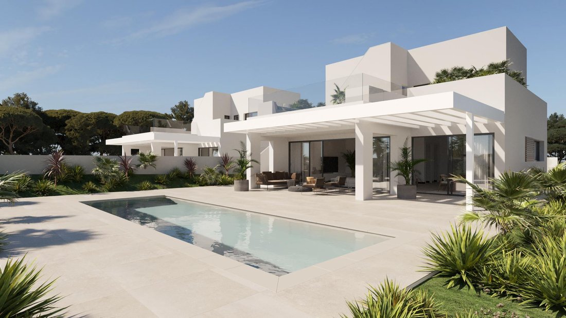 Villa in Cala Llenya, Santa Eularia des Riu, Balearic Islands 3 - 16989444