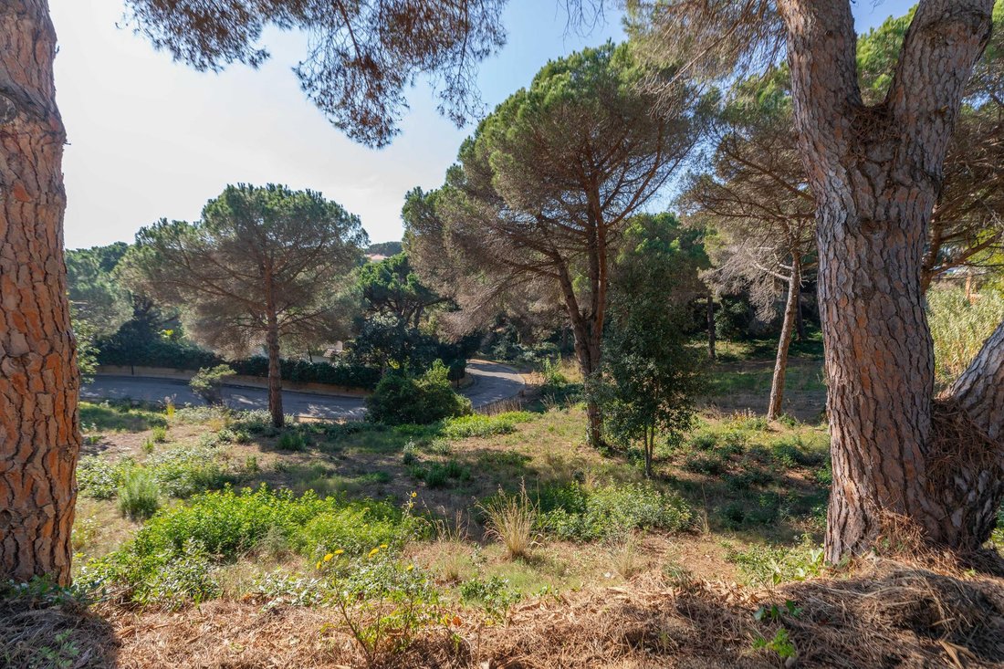 Land in Lloret de Mar, Catalonia, Spain 4 - 16989593