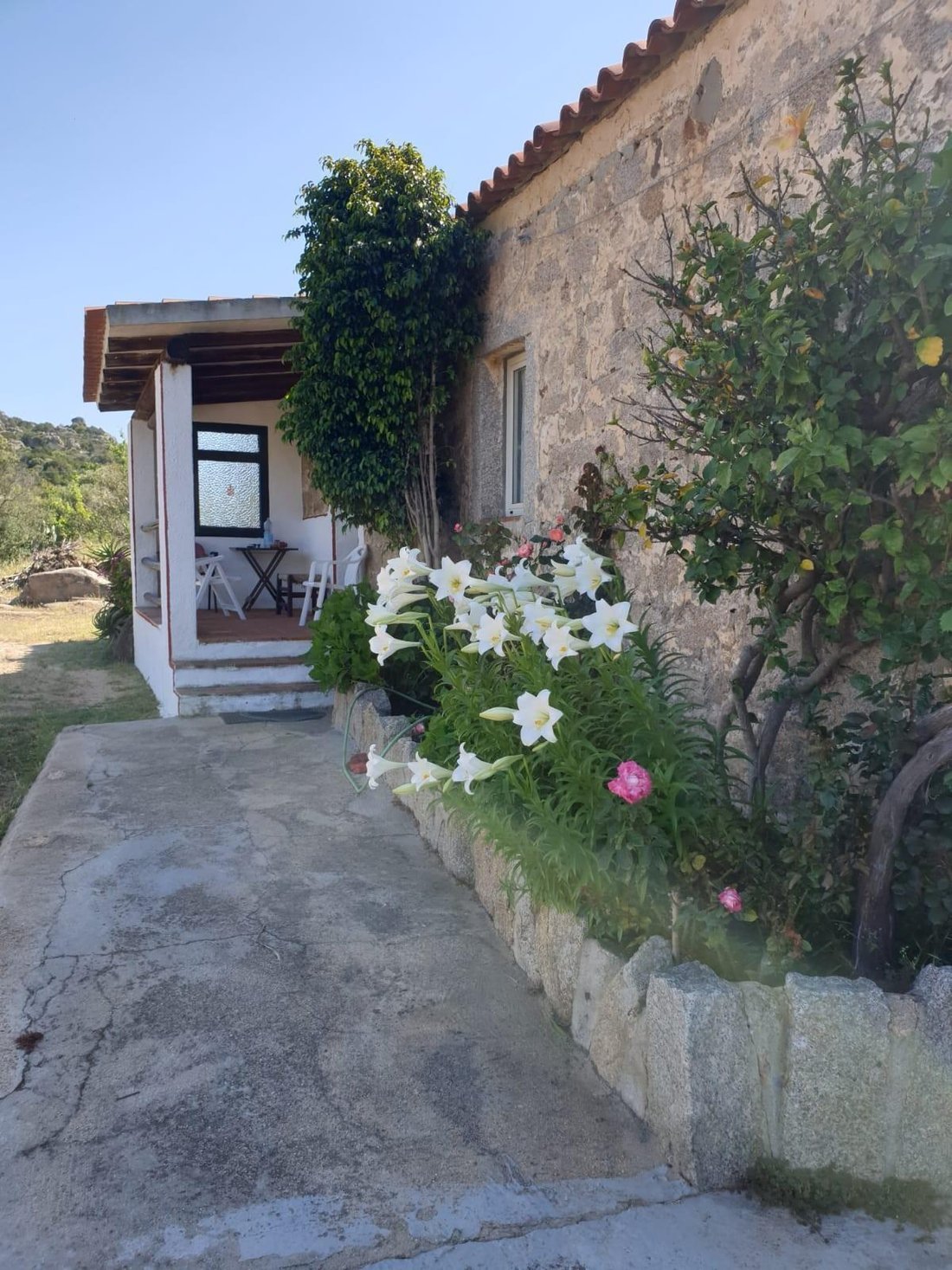 Country House in Area Arzachena Paese, Arzachena, Sardinia 3 - 17799114