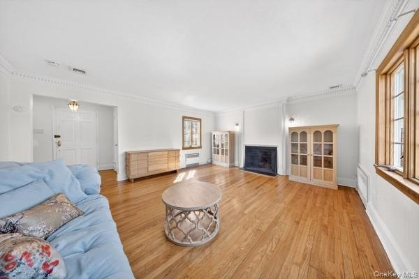 House in Manhasset, New York, United States 5 - 17799490