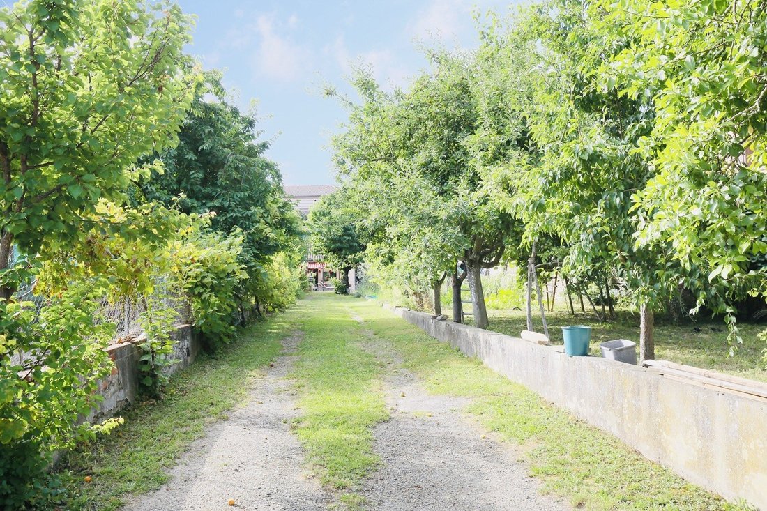 Villa in Grisolles, Occitania, France 1 - 17796765