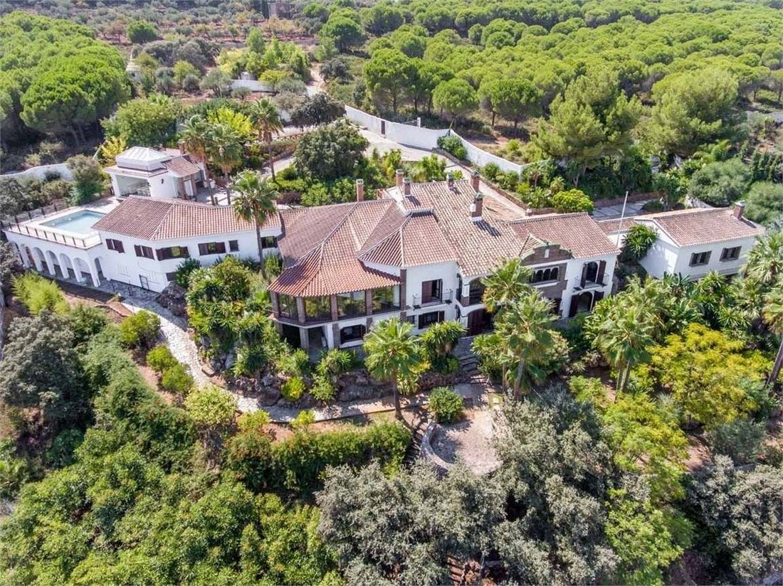 Villa in Alhaurin el Grande, Andalusia, Spain 1 - 17629610