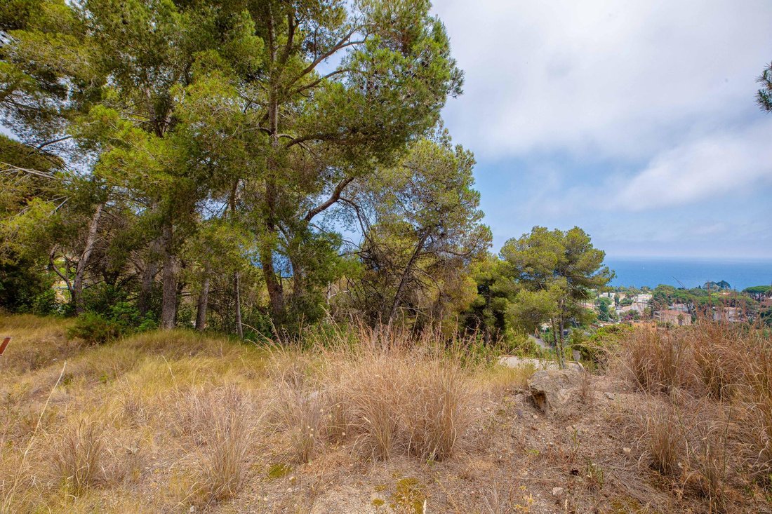 Land in Blanes, Catalonia, Spain 5 - 17094114