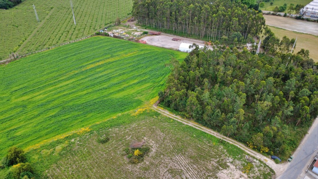 Land in Guilhabreu, Porto District, Portugal 5 - 17797759