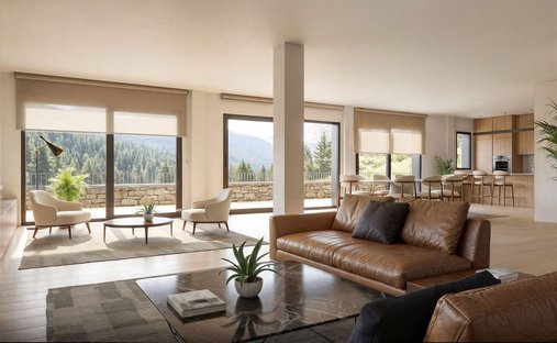 Villa in Pal, La Massana, Andorra 1