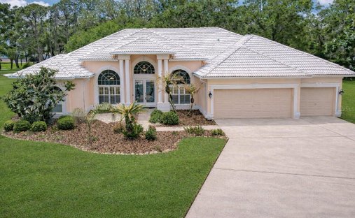 House in Valrico, Florida, United States 1