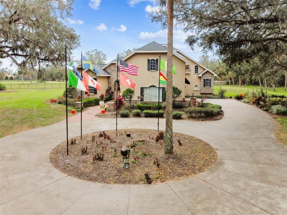 House in Lithia, Florida, United States 4 - 17795147