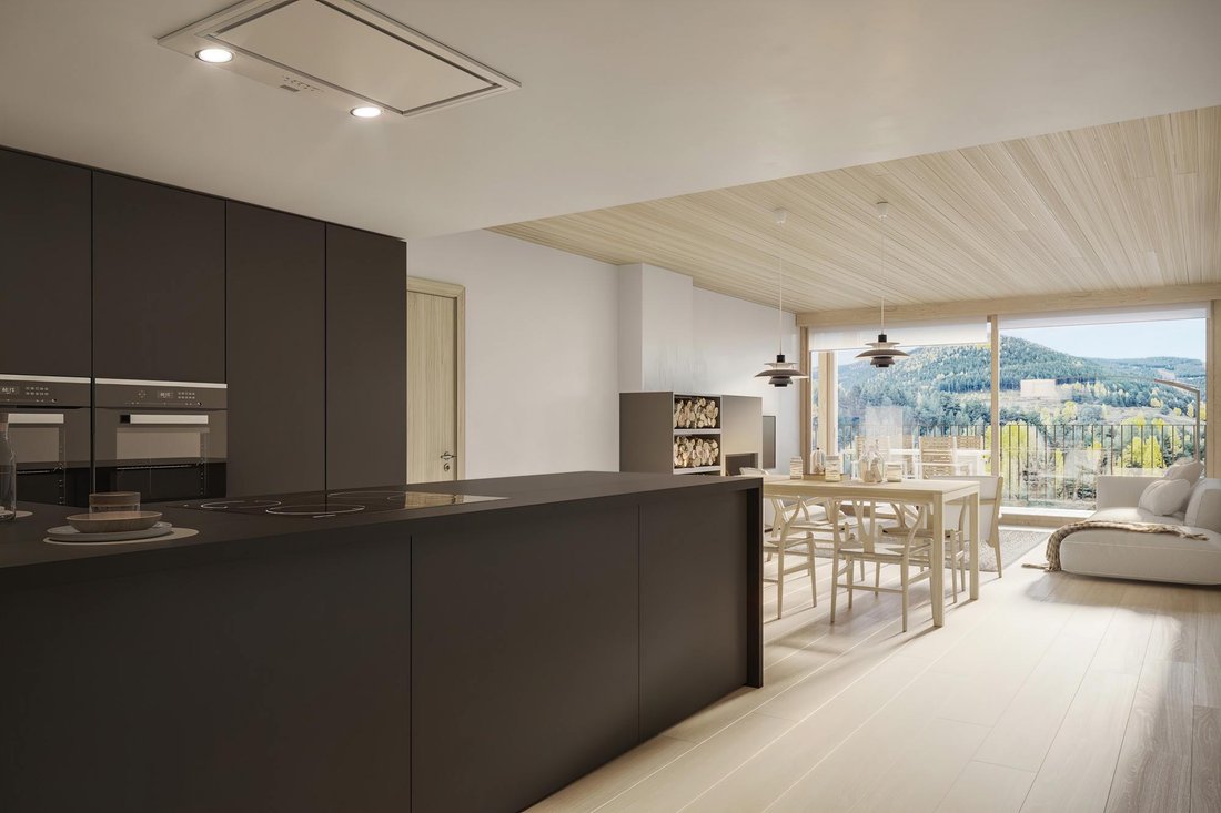 Villa in Pal, La Massana, Andorra 4 - 16987670