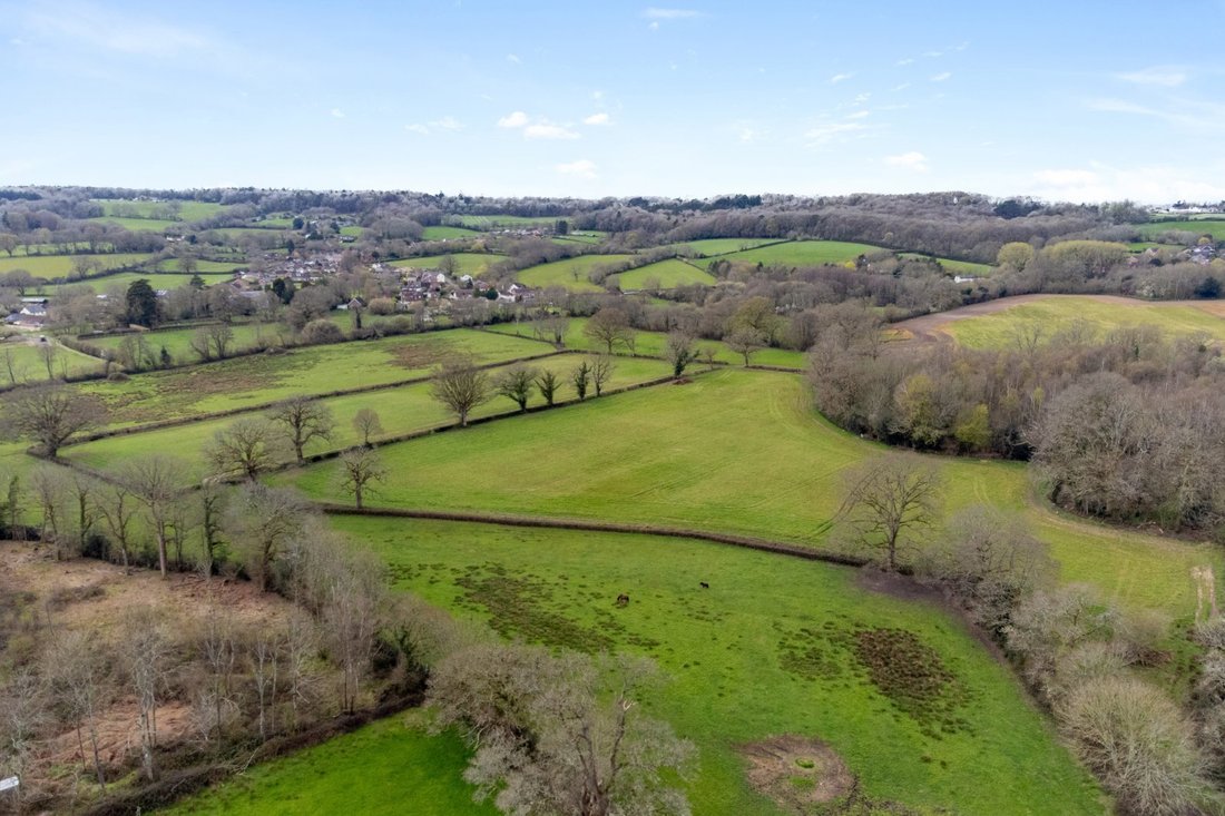 Farm Ranch in Redlynch, England 3 - 17798605