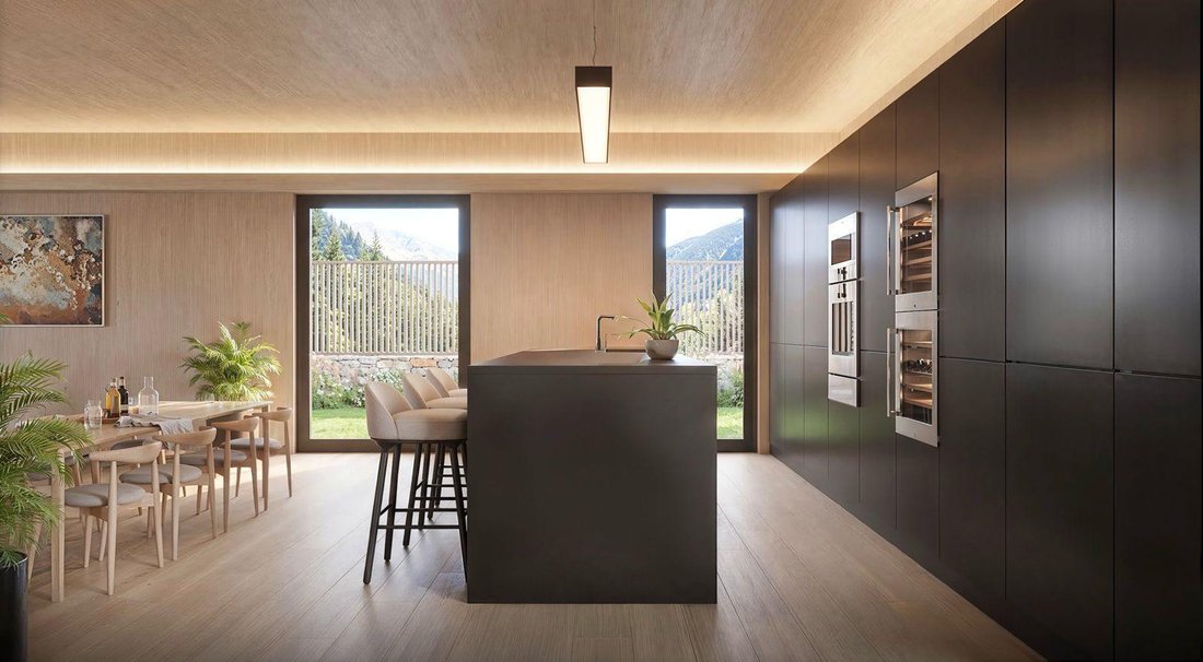Villa in Pal, La Massana, Andorra 4 - 16987706