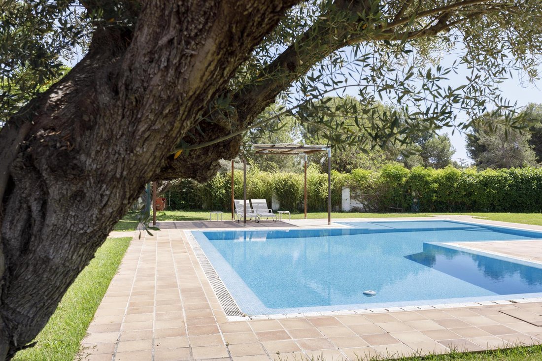 Farm Ranch in Betera, Valencian Community, Spain 5 - 16989015