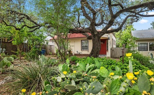 House in Austin, Texas, United States 1