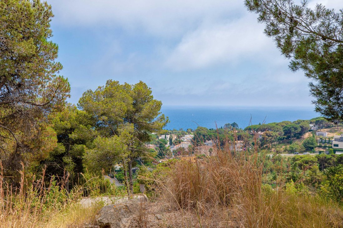 Land in Blanes, Catalonia, Spain 2 - 17094114