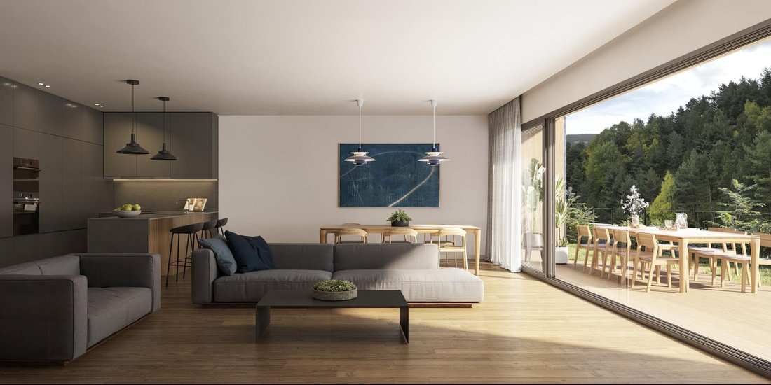 Apartment in Pal, La Massana, Andorra 4 - 16988428
