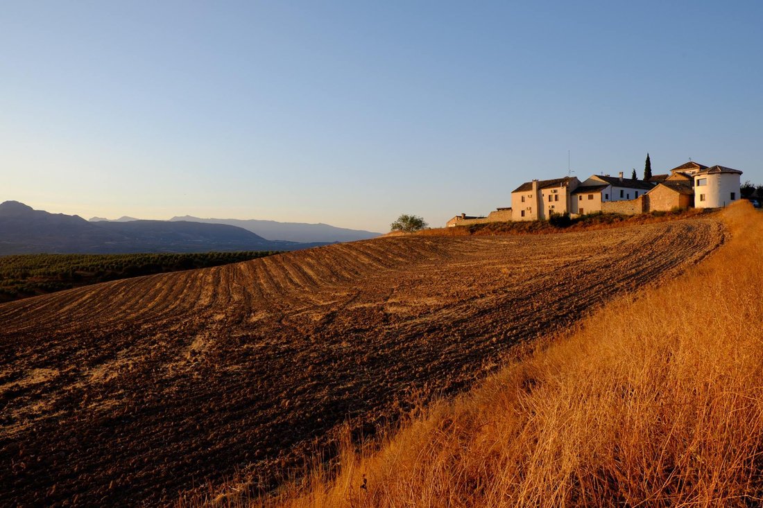 Albolote, Andalusia, Spain 3 - 17423116