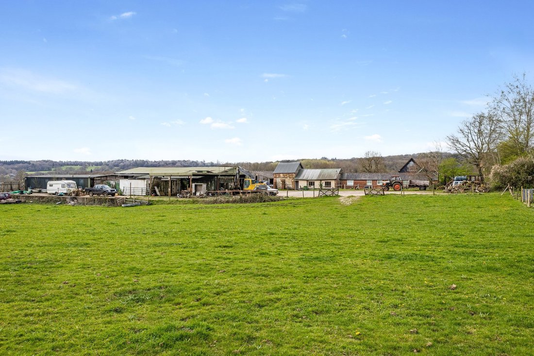 Farm Ranch in Redlynch, England 4 - 17798605