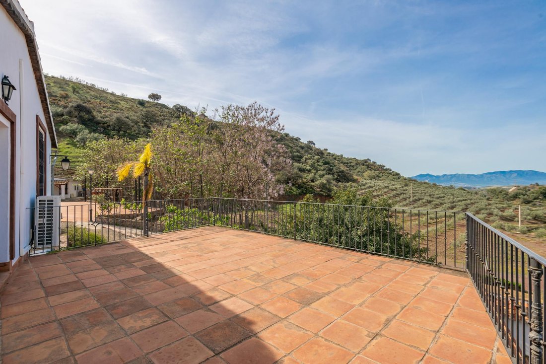 Country House in Puerto de la Torre, Malaga, Spain 3 - 16989074