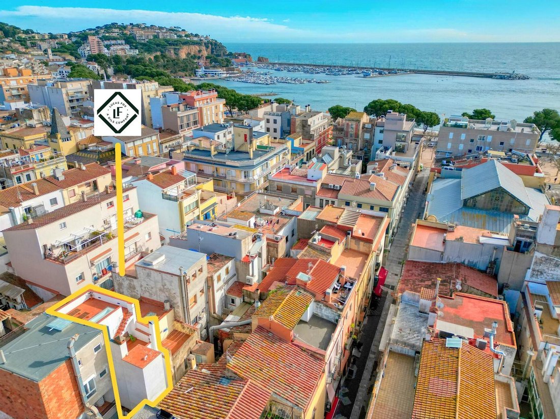 Villa à Sant Feliu de Guíxols, Catalogne, Espagne 5 - 17004983