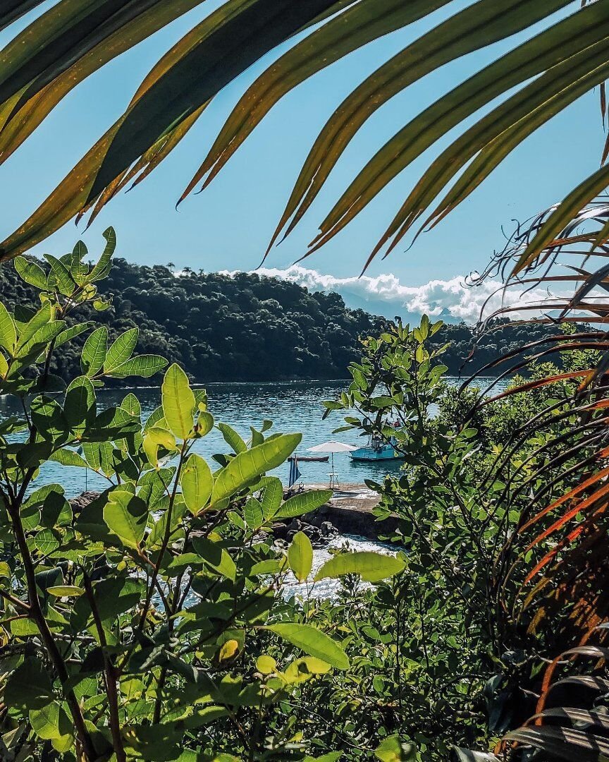 Terreno a ANGRA DOS REIS, Rio de Janeiro, Brasile 3 - 17797018