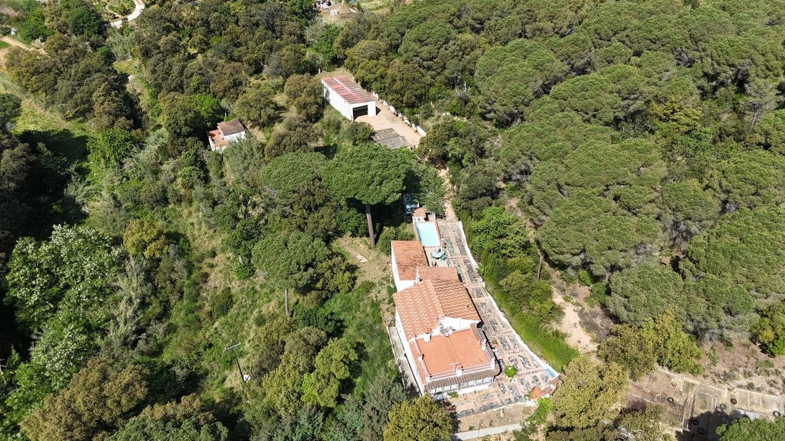 Villa in Sant Feliu de Guixols, Catalonia, Spain 4 - 17771947