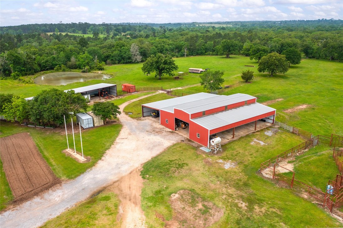 Farm Ranch in Bedias, Texas, United States 4 - 17800633