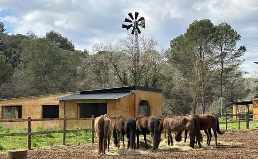 Land in Sant Cugat del Vallès, Katalonien, Spanien 1