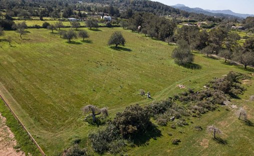 Land in Sant Antoni de Portmany, Balearic Islands, Spain 1