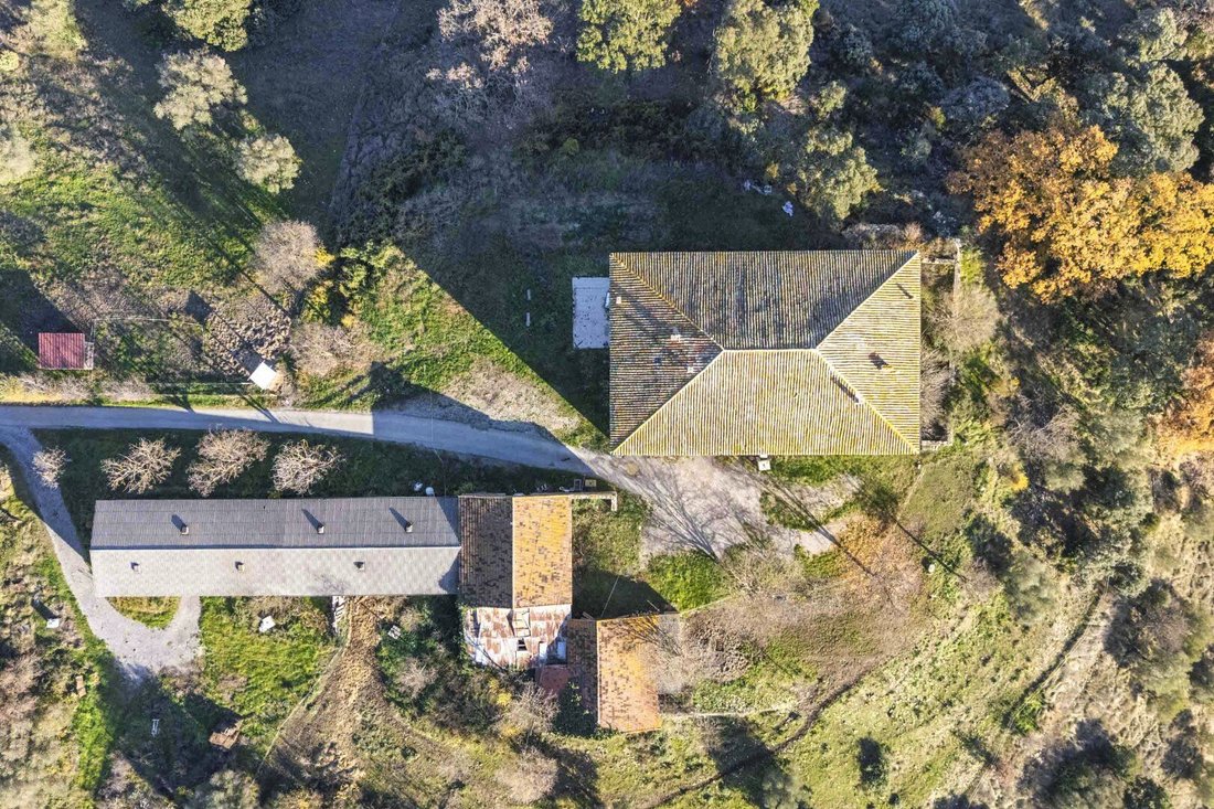 Chateau in Saint-Nazaire-des-Gardies, Occitania, France 2 - 17796882