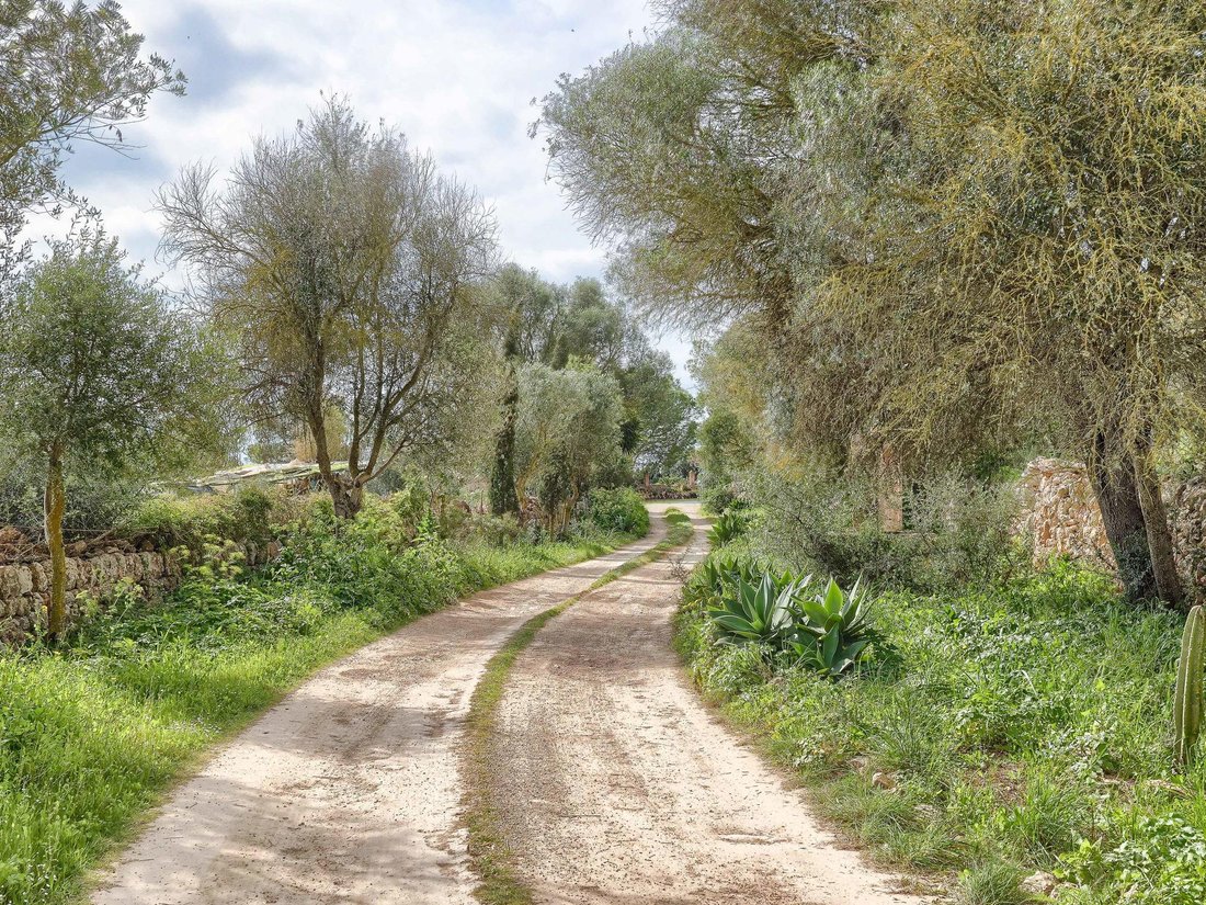 Country House in Llucmajor, Balearic Islands, Spain 3 - 17464580